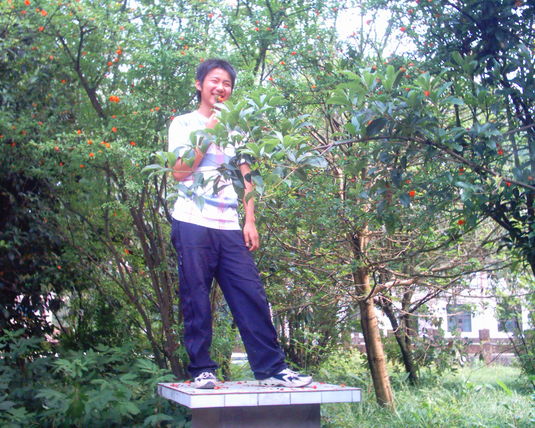 2006  (84)